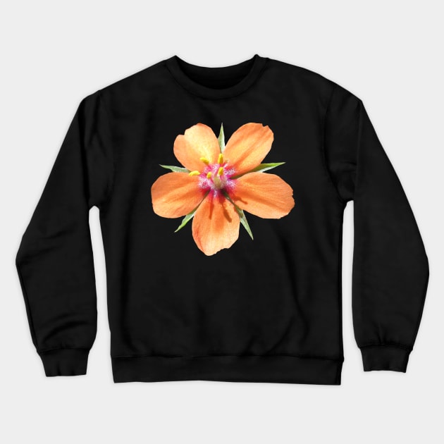 orange flower, flowers, nature, blooms, nature Crewneck Sweatshirt by rh_naturestyles